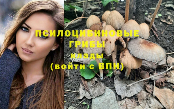mix Алексин