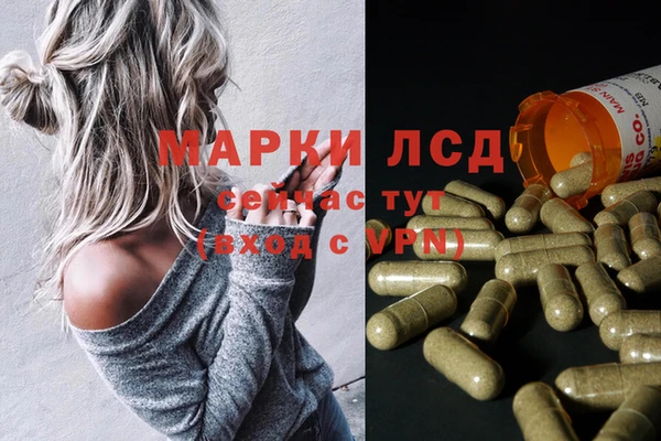 мяу мяу мука Абаза